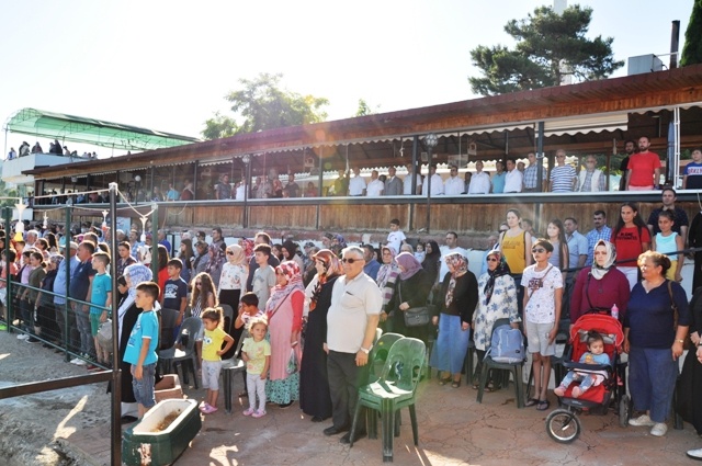 kapotaj 2019