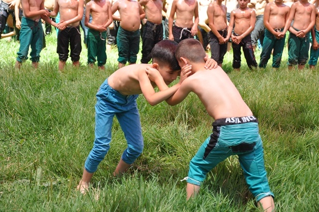 Dikmen 54. Yağlı Güreş ve  sırık kebabı festivali