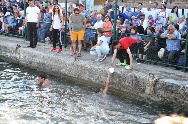 kapotaj 2019