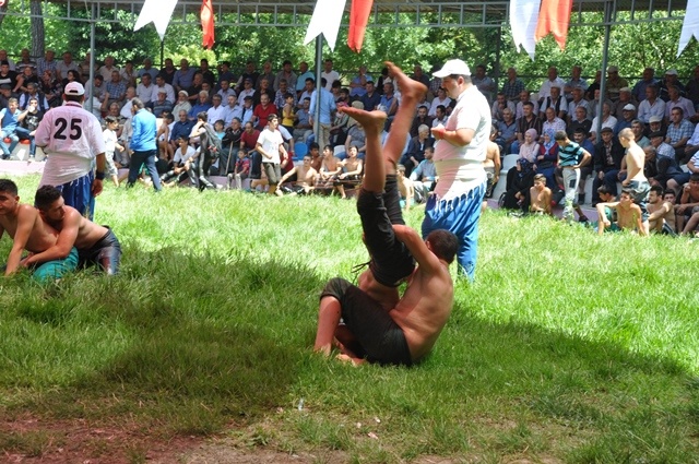 Dikmen 54. Yağlı Güreş ve  sırık kebabı festivali