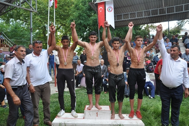 Dikmen 54. Yağlı Güreş ve  sırık kebabı festivali