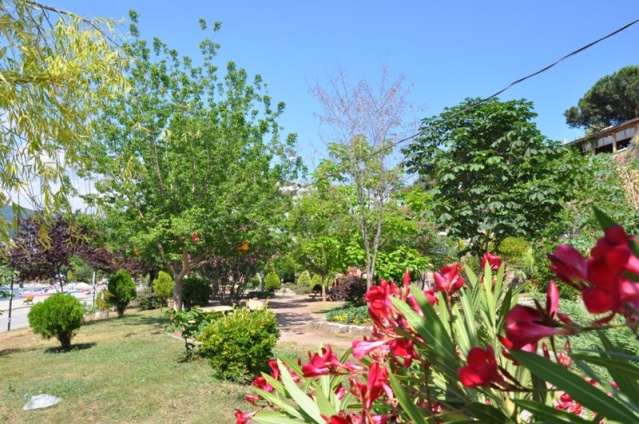 Gerze Yaza Hazır 2018