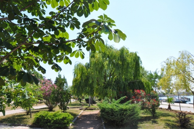 Gerze Yaza Hazır 2018