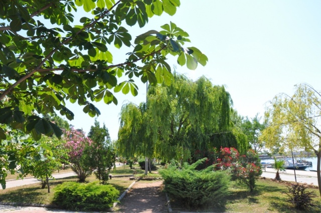 Gerze Yaza Hazır 2018