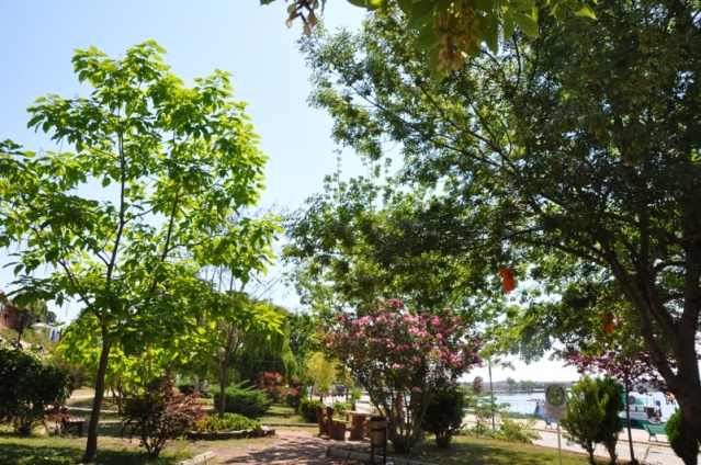 Gerze Yaza Hazır 2018
