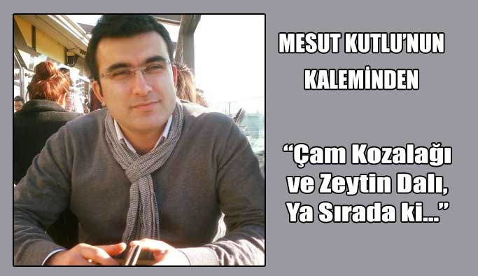 Çam Kozalağı ve Zeytin Dalı, Ya Sırada ki…
