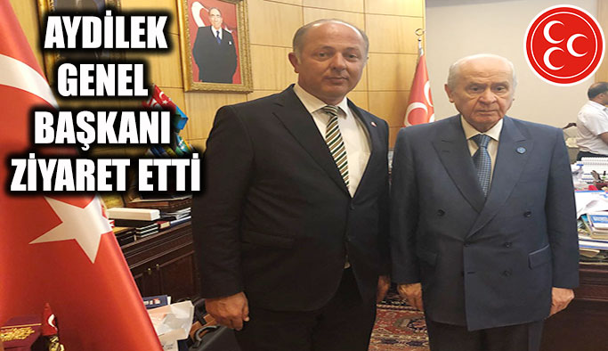 Aydilek'ten Ankara'ya çıkarma