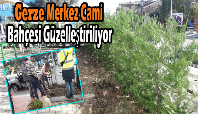 Gerze Merkez Cami Bahçesi Güzelleştiriliyor.