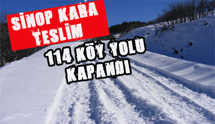 Kar nedeniyle 114 köy yolu kapandı