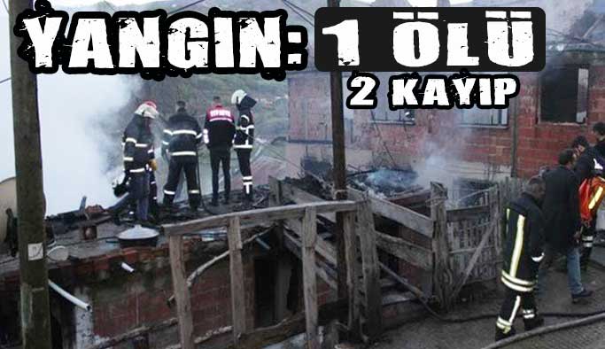 Türkeli'de yangın: 1 ölü 2 kayıp