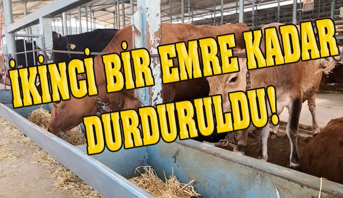 Sinop Hayvan Sağlığı ve Zabıtası Komisyon Kararı