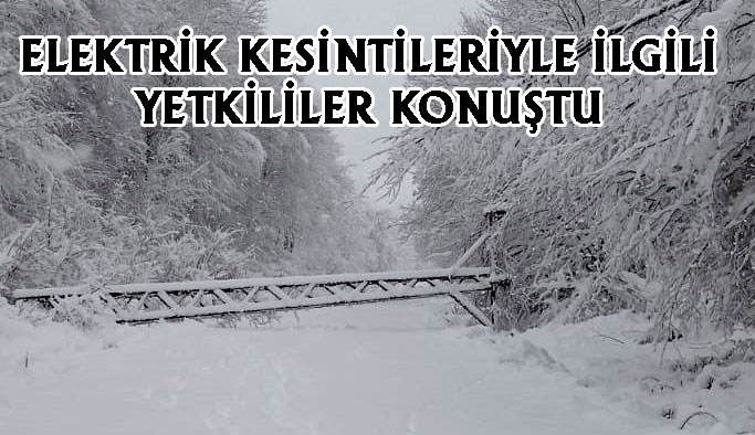 Elektrik Kesintileri, Vatandaşı Canından Bezdirdi