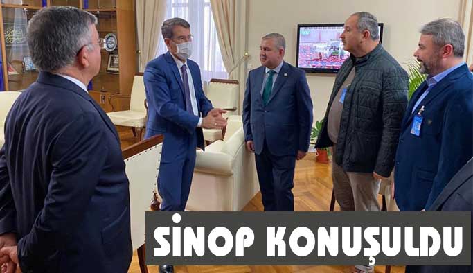 Sinoplu Gazeteciler, Sinop İçin Ankara'da