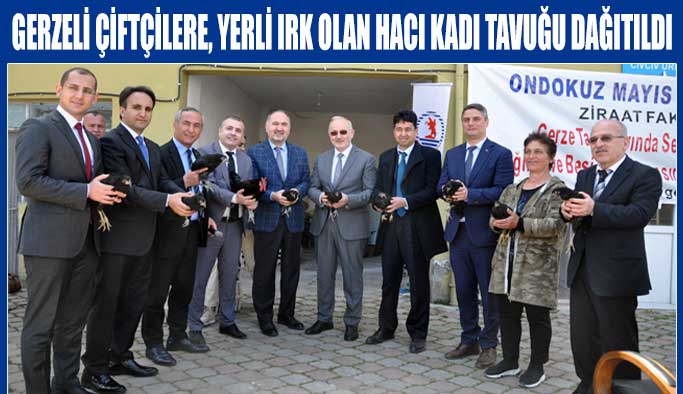Gerzeli çiftçilere, yerli ırk olan Hacı Kadı Tavuğu dağıtıldı