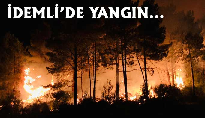 İdemli Mevkiindeki Orman Yangını Korkuttu