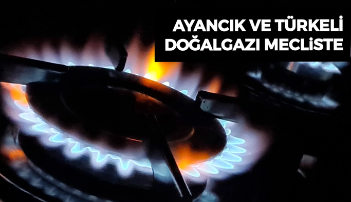 Türkeli ve Ayancık ilçesinin doğalgaz talebi mecliste