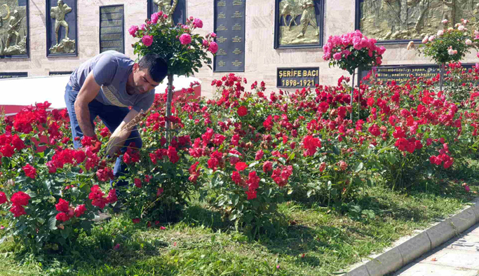 Gerze Belediyesi ‘Daha Yeşil Bir Gerze için’ çalışmalarını sürdürüyor