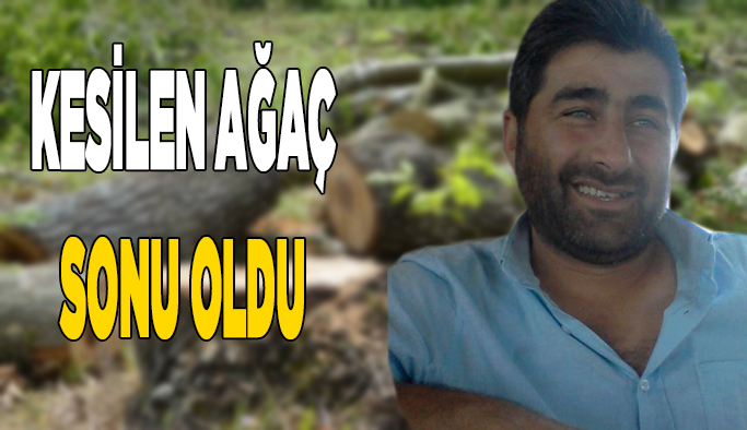 Devrilen ağacın altında kalan işçi hayatını kaybetti