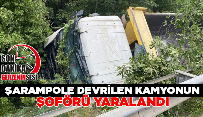 Sinop-Boyabat yolunda kamyon şarampole devrildi