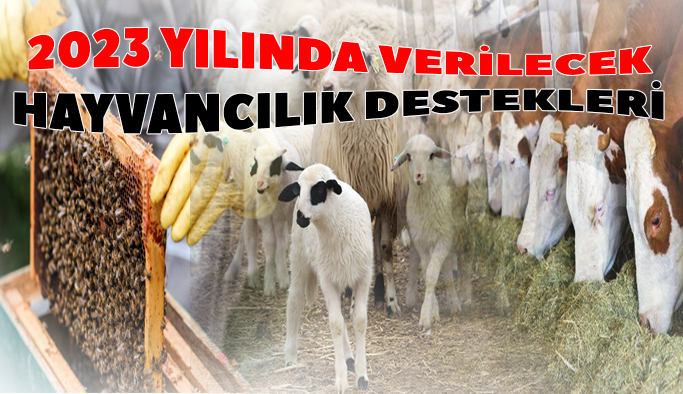 2023 Hayvancılık destekleri açıklandı