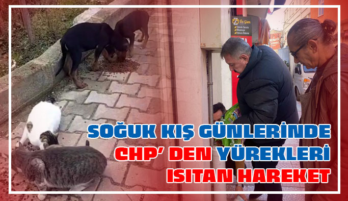 CHP Gerze, sokak canlarını unutmuyor