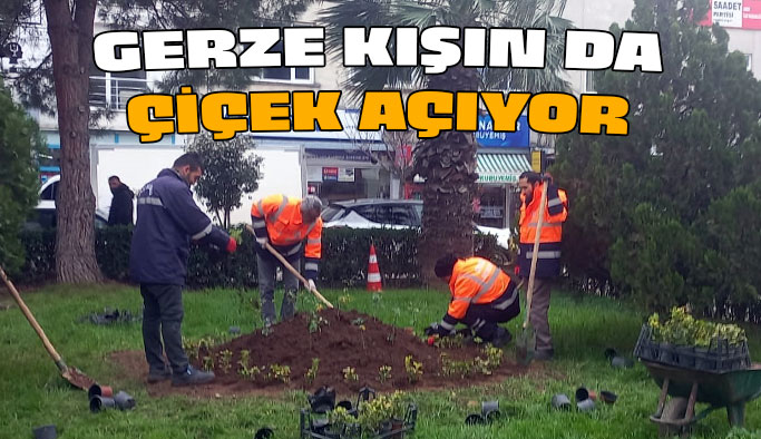Gerze’ yi güzelleştirme çalışmaları sürüyor