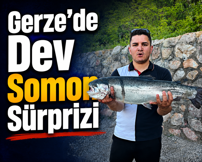 Gerze’de Dev Somon Heyecanı