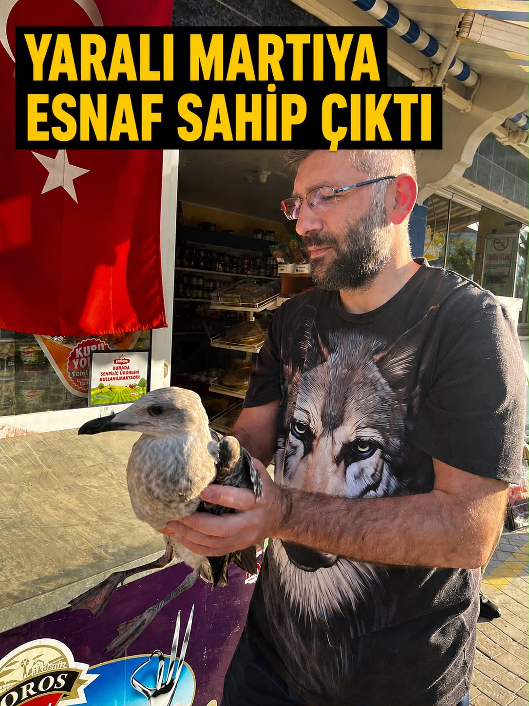 Yaralı Martıyı Esnaf Kurtardı
