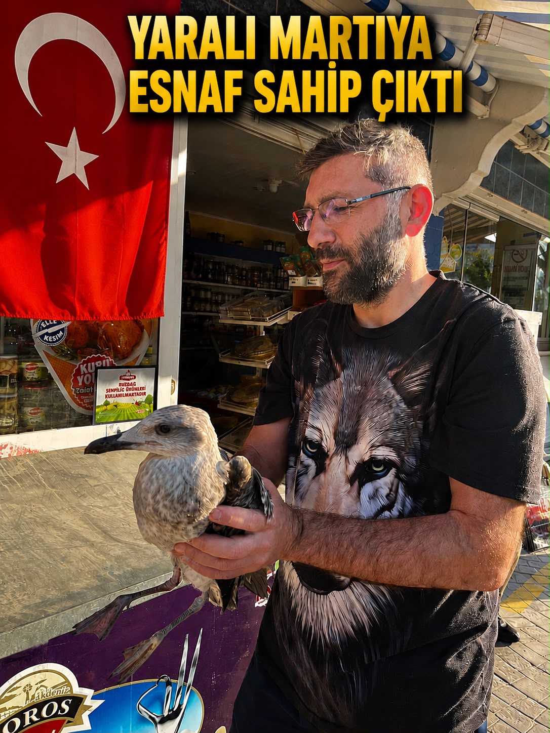 Yaralı Martıyı Esnaf Kurtardı