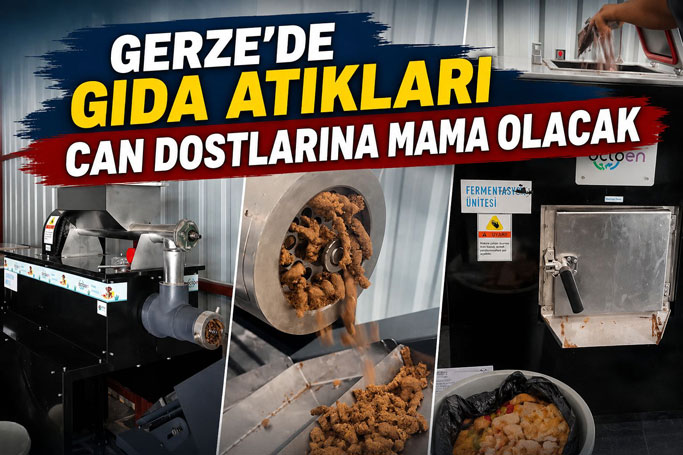 Atıklar Mamaya, Sevgi Umuda Dönüşüyor: Gerze Barınağına Mama Üretim Makinesi Kazandırıldı