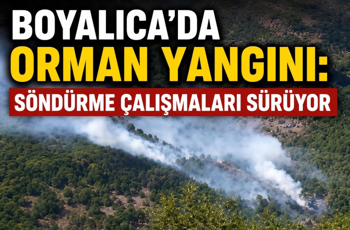 Gerze’de Ormanlık Alanda Yangın: Ekiplerin Müdahalesi Sürüyor