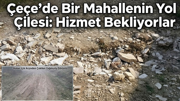 Çeçe Köyü Sofukızı Mahallesi’nde Yol Çilesi Sürüyor: “Sesimizi Duyun!”