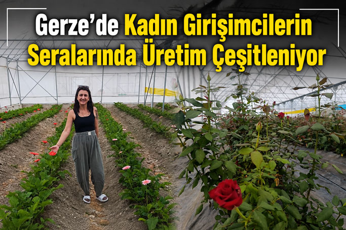 Yenikent’te Kadın Girişimcilerden Seralarda Üretim Atağı
