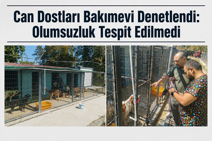 Gerze’de Can Dostları Bakımevine Kapsamlı Denetim
