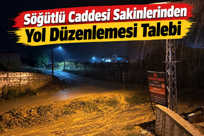 Atatürk Mahallesi Söğütlü Caddesi İçin Yol Düzenlemesi Talebi
